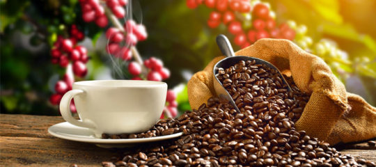 cafés en grain