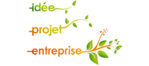 création d'entreprise